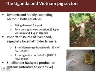 Application of a multi-market partial equilibrium model in the pig sector of Vietnam and Uganda