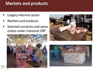 Application of a multi-market partial equilibrium model in the pig sector of Vietnam and Uganda