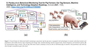 Figure 1. Overall theme for behavioral health monitoring in pig farms: (a) the pig farm is equipped with technologies to monitor individual animals and
populations with mobile devices, data computing and storage units, machine learning, decision support tools, clinical diagnosis, and treatment options; (b)
our measurement setup is shown. The ear tag with sensor board is attached to the ear lobe of individual pigs to measure vital parameters and send the
data through a smartphone app to the cloud.
S. Pandey et al, Behavioral Monitoring Tool for Pig Farmers: Ear Tag Sensors, Machine
Intelligence, and Technology Adoption Roadmap, Animals 2021, 11(9),
2665; https://doi.org/10.3390/ani11092665
 