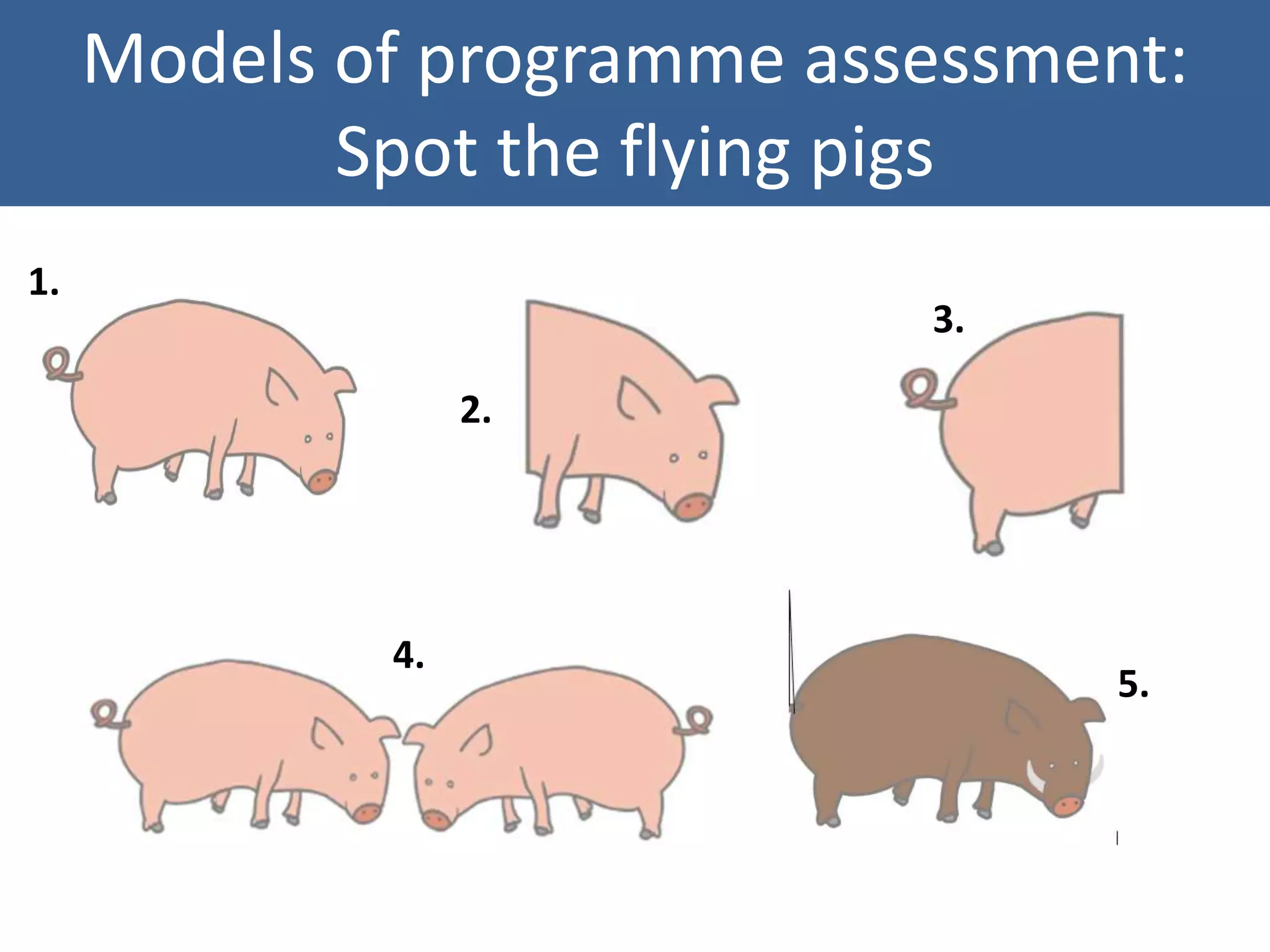 Models of programme assessment:
Spot the flying pigs
1.
2.
3.
4.
5.
 