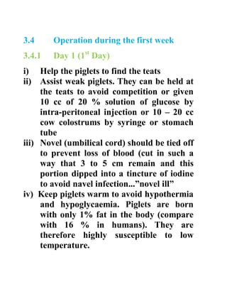 3.4 Operation during the first week
3.4.1 Day 1 (1st
Day)
i) Help the piglets to find the teats
ii) Assist weak piglets. They can be held at
the teats to avoid competition or given
10 cc of 20 % solution of glucose by
intra-peritoneal injection or 10 – 20 cc
cow colostrums by syringe or stomach
tube
iii) Novel (umbilical cord) should be tied off
to prevent loss of blood (cut in such a
way that 3 to 5 cm remain and this
portion dipped into a tincture of iodine
to avoid navel infection...”novel ill”
iv) Keep piglets warm to avoid hypothermia
and hypoglycaemia. Piglets are born
with only 1% fat in the body (compare
with 16 % in humans). They are
therefore highly susceptible to low
temperature.
 