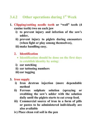 3.4.2 Other operations during 1st
Week
1. Clipping/cutting needle teeth or “wolf” teeth (4
canine teeth) two on each jaw
i) to prevent injury and infection of the sow's
udder,
ii) prevent injury to piglets during encounters
(when fight or play among themselves),
iii) make handling easy.
2. Identification
 Identification should be done on the first days
to establish identity by using:
i) ear notching
ii) ear tattooing numbers
iii) ear tagging
3. Iron supply
i) Iron dextran injection (more dependable
method
ii) Ferrous sulphate solution (spraying or
swabbing the sow’s udder with the solution
daily until the piglets starts to eat creep feed.
iii) Commercial source of iron in a form of pills
or pastes to be administered individually are
also available
iv) Place clean red soil in the pen
 
