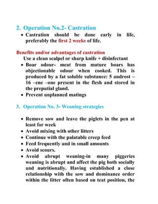 2. Operation No.2- Castration
 Castration should be done early in life,
preferably the first 2 weeks of life.
Benefits and/or advantages of castration
Use a clean scalpel or sharp knife + disinfectant
 Boar odour- meat from mature boars has
objectionable odour when cooked. This is
produced by a fat soluble substance: 5 androst –
16 –ene –one present in the flesh and stored in
the preputial gland.
 Prevent unplanned matings
3. Operation No. 3- Weaning strategies
 Remove sow and leave the piglets in the pen at
least for week
 Avoid mixing with other litters
 Continue with the palatable creep feed
 Feed frequently and in small amounts
 Avoid scours.
 Avoid abrupt weaning-in many piggeries
weaning is abrupt and affect the pig both socially
and nutritionally. Having established a close
relationship with the sow and dominance order
within the litter often based on teat position, the
 