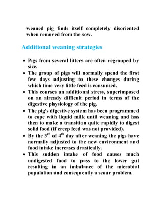 weaned pig finds itself completely disoriented
when removed from the sow.
Additional weaning strategies
 Pigs from several litters are often regrouped by
size.
 The group of pigs will normally spend the first
few days adjusting to these changes during
which time very little feed is consumed.
 This courses an additional stress, superimposed
on an already difficult period in terms of the
digestive physiology of the pig.
 The pig's digestive system has been programmed
to cope with liquid milk until weaning and has
then to make a transition quite rapidly to digest
solid food (if creep feed was not provided).
 By the 3rd
of 4th
day after weaning the pigs have
normally adjusted to the new environment and
food intake increases drastically.
 This sudden intake of food causes much
undigested food to pass to the lower gut
resulting in an imbalance of the microbial
population and consequently a scour problem.
 