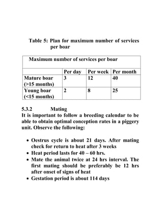 Table 5: Plan for maximum number of services
per boar
Maximum number of services per boar
Per day Per week Per month
Mature boar
(>15 months)
3 12 40
Young boar
(<15 months)
2 8 25
5.3.2 Mating
It is important to follow a breeding calendar to be
able to obtain optimal conception rates in a piggery
unit. Observe the following:
 Oestrus cycle is about 21 days. After mating
check for return to heat after 3 weeks
 Heat period lasts for 40 – 60 hrs.
 Mate the animal twice at 24 hrs interval. The
first mating should be preferably be 12 hrs
after onset of signs of heat
 Gestation period is about 114 days
 