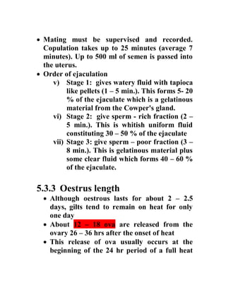  Mating must be supervised and recorded.
Copulation takes up to 25 minutes (average 7
minutes). Up to 500 ml of semen is passed into
the uterus.
 Order of ejaculation
v) Stage 1: gives watery fluid with tapioca
like pellets (1 – 5 min.). This forms 5- 20
% of the ejaculate which is a gelatinous
material from the Cowper's gland.
vi) Stage 2: give sperm - rich fraction (2 –
5 min.). This is whitish uniform fluid
constituting 30 – 50 % of the ejaculate
vii) Stage 3: give sperm – poor fraction (3 –
8 min.). This is gelatinous material plus
some clear fluid which forms 40 – 60 %
of the ejaculate.
5.3.3 Oestrus length
 Although oestrous lasts for about 2 – 2.5
days, gilts tend to remain on heat for only
one day
 About 12 – 18 ova are released from the
ovary 26 – 36 hrs after the onset of heat
 This release of ova usually occurs at the
beginning of the 24 hr period of a full heat
 