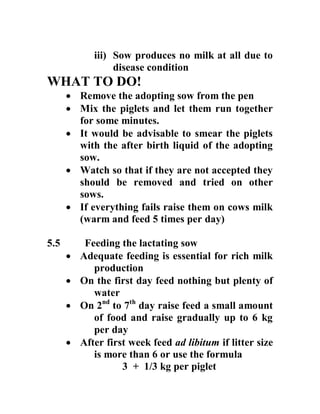 iii) Sow produces no milk at all due to
disease condition
WHAT TO DO!
 Remove the adopting sow from the pen
 Mix the piglets and let them run together
for some minutes.
 It would be advisable to smear the piglets
with the after birth liquid of the adopting
sow.
 Watch so that if they are not accepted they
should be removed and tried on other
sows.
 If everything fails raise them on cows milk
(warm and feed 5 times per day)
5.5 Feeding the lactating sow
 Adequate feeding is essential for rich milk
production
 On the first day feed nothing but plenty of
water
 On 2nd
to 7th
day raise feed a small amount
of food and raise gradually up to 6 kg
per day
 After first week feed ad libitum if litter size
is more than 6 or use the formula
3 + 1/3 kg per piglet
 