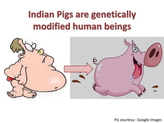 Indian Pigs are genetically
modified human beings
Pic courtesy : Google images
 