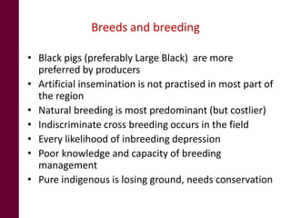Pig system in Northeast India: An untapped opportunity for entrepreneurs