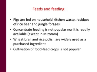 Pig system in Northeast India: An untapped opportunity for entrepreneurs