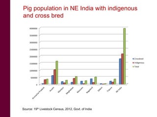 Pig system in Northeast India: An untapped opportunity for entrepreneurs