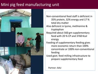 Brief overview of ILRI’s activities in Northeast India on pig system development