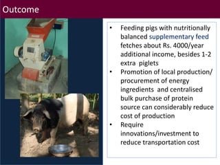 Brief overview of ILRI’s activities in Northeast India on pig system development