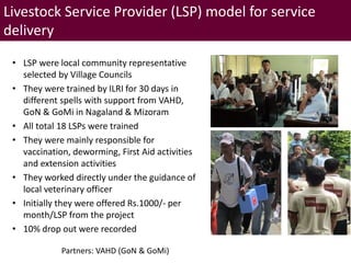 Brief overview of ILRI’s activities in Northeast India on pig system development