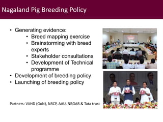 Brief overview of ILRI’s activities in Northeast India on pig system development