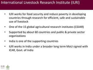 Brief overview of ILRI’s activities in Northeast India on pig system development
