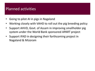 Brief overview of ILRI’s activities in Northeast India on pig system development