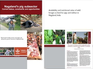 Brief overview of ILRI’s activities in Northeast India on pig system development