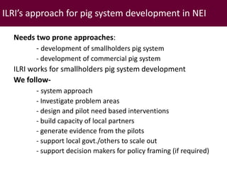 Brief overview of ILRI’s activities in Northeast India on pig system development