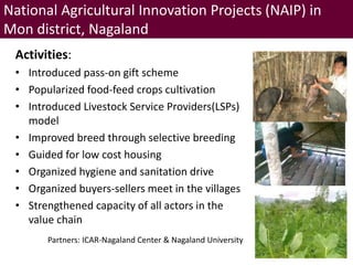 Brief overview of ILRI’s activities in Northeast India on pig system development