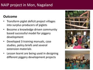 Brief overview of ILRI’s activities in Northeast India on pig system development