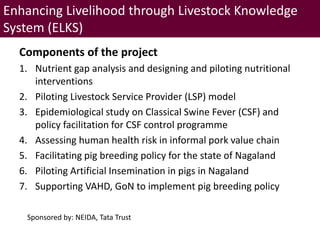 Brief overview of ILRI’s activities in Northeast India on pig system development