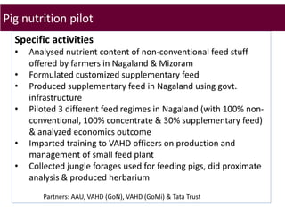 Brief overview of ILRI’s activities in Northeast India on pig system development
