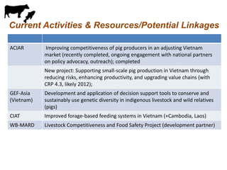 Pig value chains in Vietnam
