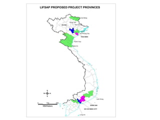 Pig value chains in Vietnam