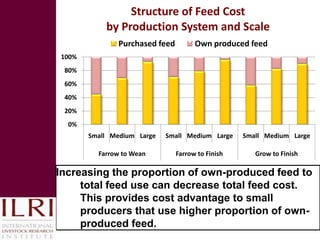 Pig value chains in Vietnam