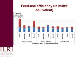 Pig value chains in Vietnam