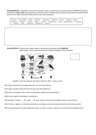 (2,0) QUESTÃO 06 – Utilizando os seres vivos do quadro a seguir, esquematize uma cadeia alimentar COMPLETA (produtor,
consumidores (de C1 a C4) e decompositores), indicando quem se alimenta do que, além dos níveis tróficos de cada elemento
presente nela. (Não é necessário utilizar todos os seres vivos do quadro).
(1,0) QUESTÃO 07 – Observe bem a figura abaixo e assinale a(s) proposições (ões) CORRETAS:
[Observação: colocar a soma no quadrado ao lado da imagem da Teia alimentar].
(01) A figura representa uma cadeia alimentar com três níveis tróficos;
(02) Fungos e bactérias são representantes dos seres decompositores;
(04) O fluxo de energia é cíclico, sendo renovado pelos organismos decompositores.
(08) A onça e o gavião representam os produtores.
(16) Na cadeia: “verdura veado onça” existe um decréscimo energético entre os níveis tróficos;
(32) O mocho, o lagarto e a cobra são classificados, nessa figura, como consumidores terciários ou de terceira ordem.
(64) Uma grande parte da energia obtida pelo coelho, ao comer a verdura, é gasta em seu processo de respiração celular.
 