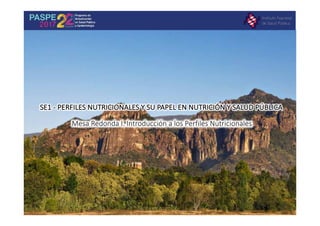 SSEE11		-- PPEERRFFIILLEESS		NNUUTTRRIICCIIOONNAALLEESS		YY		SSUU		PPAAPPEELL		EENN		NNUUTTRRIICCIIÓÓNN		YY		SSAALLUUDD		PPÚÚBBLLIICCAA
Cuernavaca,	México	2017
Mesa	Redonda	I.	Introducción	a	los	Perfiles	Nutricionales
 