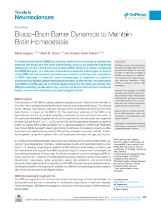 Review
Blood–Brain Barrier Dynamics to Maintain
Brain Homeostasis
Marta Segarra,1,2,4,
* Maria R. Aburto,1,4
and Amparo Acker-Palmer1,2,3,
*
The blood–brain barrier (BBB) is a dynamic platform for exchange of substances
between the blood and the brain parenchyma, and it is an essential functional
gatekeeper for the central nervous system (CNS). While it is widely recognized
that BBB disruption is a hallmark of several neurovascular pathologies, an aspect
of the BBB that has received somewhat less attention is the dynamic modulation
of BBB tightness to maintain brain homeostasis in response to extrinsic
environmental factors and physiological changes. In this review, we summarize
how BBB integrity adjusts in critical stages along the life span, as well as how
BBB permeability can be altered by common stressors derived from nutritional
habits, environmental factors and psychological stress.
BBB Function
The vasculature of the CNS is a primary gateway regulating access of blood-borne molecules to
the brain, hence acting as an interface between the brain and peripheral inﬂuences. This physical
barrier, allowing only selective molecular transport across endothelial cells (ECs) and the brain
parenchyma, is known as the BBB [1,2]. The anatomical substrate of the BBB is the
neurovascular unit (NVU); a cellular assembly constituted by close functional association of
ECs, pericytes (embedded together with ECs in the basal lamina), and astrocytes, and supported
by other CNS cell types (Figure 1) [3]. ECs in the CNS seal the paracellular transport via junctional
protein complexes forming tight junctions (TJs) [4], allowing passage of nutrients and metabolites
only through tightly regulated transport and limiting the entrance of undesired products via efﬂux
transporters and restricted transcytosis [5]. Although the endothelium is central to the NVU, its func-
tion is regulated by input from adjacent cells such as pericytes, astrocytes, microglia, and neurons.
It is widely acknowledged that BBB dysfunction can contribute to the onset and detrimental out-
come of neurodegenerative disorders, cerebrovascular insults, and neuroinﬂammatory condi-
tions [6–8]. However, physiological variations of BBB tightness under healthy conditions, and
the mechanisms that regulate how BBB properties adapt to restore brain homeostasis are
less-well comprehended. In this context, this Review focuses on current knowledge on BBB dy-
namic adjustments in response to multifaceted physiological changes including those relating to
development, sleep/wake cycles, pregnancy, aging, diet alterations, and environmental
stressors. Exploring these dynamic regulations of the BBB may open new perspectives on under-
standing how systemic ﬂuctuations can translate into different neuropathological states and pos-
sibly reveal new avenues for therapeutic options.
BBB Remodeling throughout Life
The BBB is a highly dynamic structure that adapts the exchange of molecules between the
bloodstream and the brain in response to homeostatic adjustments in health and disease.
Along the lifespan, BBB tightness adapts to continuous evolving changes in different physio-
logical states.
Highlights
The BBB is a dynamic structure that acts
as an active exchange platform to trans-
port molecules between the blood and
the CNS. The tightness and integrity of
the BBB vary in response to multiple fac-
tors, including environmental and sys-
temic inﬂuences. Regulation of BBB
integrity is crucial to maintain CNS
homeostasis.
Variations in the tightness of the BBB
have been documented in various con-
texts, including changes during develop-
ment, pregnancy and aging; in response
to environmental factors such as nutri-
tional state and extreme temperature;
and following psychosocial stress.
Aging, in particular, is a period suscepti-
ble to BBB breakdown, which can
contribute to neurodegeneration and
cognitive decline.
Maladaptation of the BBB to persisting
and/or severe stressors may contribute
to detrimental health outcomes.
1
Neuro and Vascular Guidance,
Buchmann Institute for Molecular Life
Sciences (BMLS) and Institute of Cell
Biology and Neuroscience, Max-von-
Laue-Strasse 15, D-60438, Frankfurt am
Main, Germany
2
Cardio-Pulmonary Institute (CPI), Max-
von-Laue-Strasse 15, D-60438,
Frankfurt am Main, Germany
3
Max Planck Institute for Brain Research,
Max-von-Laue-Strasse 4, 60438
Frankfurt am Main, Germany
4
These authors made an equal
contribution
*Correspondence:
Segarra@bio.uni-frankfurt.de
(M. Segarra) and
Acker-Palmer@bio.uni-frankfurt.de
(A. Acker-Palmer).
Trends in Neurosciences, May 2021, Vol. 44, No. 5 https://doi.org/10.1016/j.tins.2020.12.002 393
© 2020 The Authors. Published by Elsevier Ltd. This is an open access article under the CC BY-NC-ND license (http://creativecommons.org/licenses/by-nc-nd/4.0/).
Trends in
Neurosciences OPEN ACCESS
 