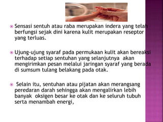  Sensasi sentuh atau raba merupakan indera yang telah
berfungsi sejak dini karena kulit merupakan reseptor
yang terluas.
 Ujung-ujung syaraf pada permukaan kulit akan bereaksi
terhadap setiap sentuhan yang selanjutnya akan
mengirimkan pesan melalui jaringan syaraf yang berada
di sumsum tulang belakang pada otak.
 Selain itu, sentuhan atau pijatan akan merangsang
peredaran darah sehingga akan mengalirkan lebih
banyak oksigen besar ke otak dan ke seluruh tubuh
serta menambah energi,
 