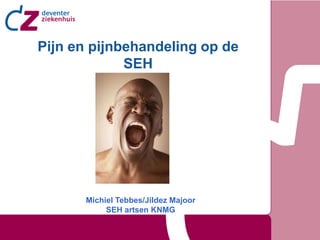 Pijn en pijnbehandeling op de
             SEH




      Michiel Tebbes/Jildez Majoor
           SEH artsen KNMG
 