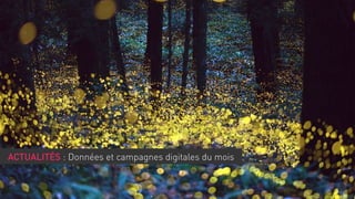 ACTUALITÉS : Données et campagnes digitales du mois

 