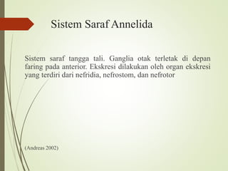 Sistem Saraf Annelida
Sistem saraf tangga tali. Ganglia otak terletak di depan
faring pada anterior. Ekskresi dilakukan oleh organ ekskresi
yang terdiri dari nefridia, nefrostom, dan nefrotor
(Andreas 2002)
 