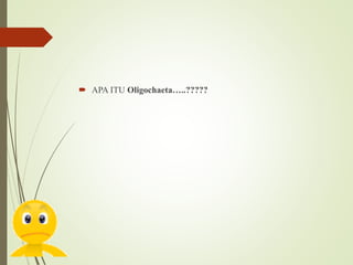  APA ITU Oligochaeta…..?????
 