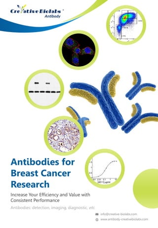 Antibodies for
Breast Cancer
Research
Antibodies: detection, imaging, diagnostic, etc.
Increase Your Efficiency and Value with
Consistent Performance
info@creative-biolabs.com
www.antibody-creativebiolabs.com
 