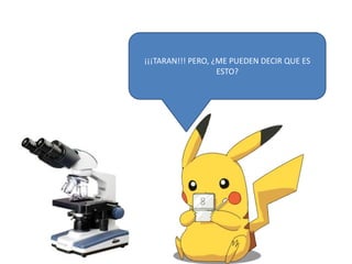 ¡¡¡TARAN!!! PERO, ¿ME PUEDEN DECIR QUE ES
ESTO?
 