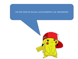 HAY DOS TIPOS DE CÉLULAS: LAS EUCARIOTAS Y LAS PROCARIOTAS
 