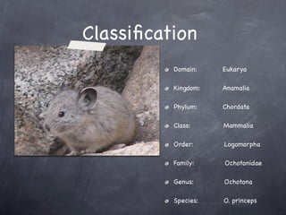 Pika powerpoint ___d_a_n | KEY