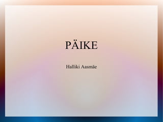 PÄIKE
Halliki Aasmäe
 