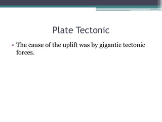 Plate Tectonic
• The cause of the uplift was by gigantic tectonic
  forces.
 