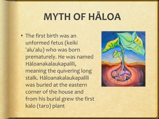 MYTH OF HĀLOA The first birth was an unformed fetus (keiki ʻaluʻalu) who was born prematurely. He was named Hāloanakalaukapalili, meaning the quivering long stalk. Hāloanakalaukapalili was buried at the eastern corner of the house and from his burial grew the first kalo (taro) plant 