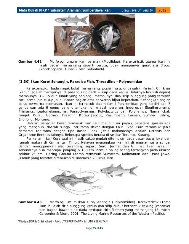 Pikp Modul56jenis Ikan