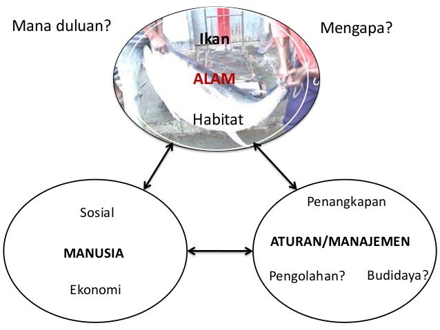Pikp ppt02 sistem perikanan genap 2012-2013