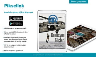 Conversion Reklam Pikselink Reklam Ajansı Tanıtım | PDF