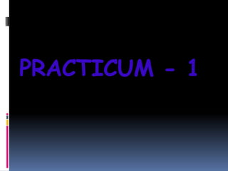PRACTICUM - 1
 